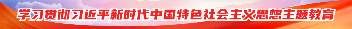 学习贯彻习近平新时代中国特色社会主义思想主题教育